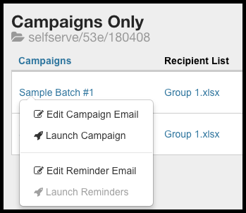 de_Email_Campaign_Manager_Overview_002.png