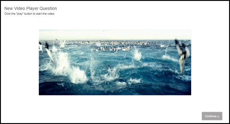videoplayer_001.png