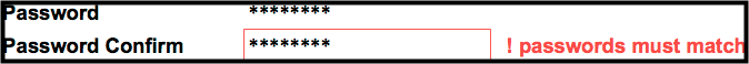 an input field showing focus on an error
